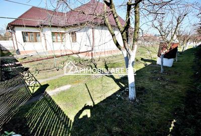 Casă individuală cu 3 camere cu Canalizare în Central - 13