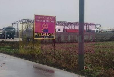 Teren Construcții intravilan de 5050 mp, în Dragomirești-Vale - 2