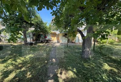 Casă cu 3 camere cu Teren 3095 Mp în Central - 4