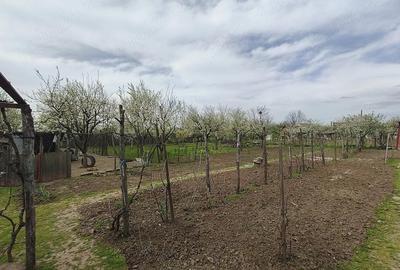 Casă cu 4 camere cu Teren 1500 Mp în Dârvari - 5