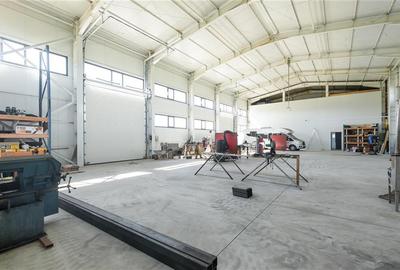 Spațiu comercial, de 590 mp, în Cărpiniș - 5