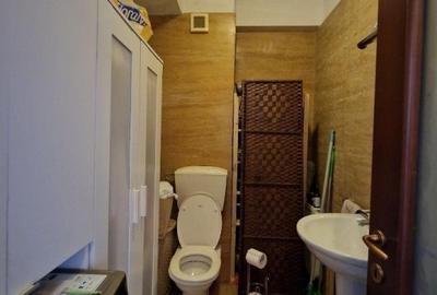 Herastrau 4 camere lux - 9