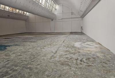 Inchiriere spatii productie sau depozitare - 14