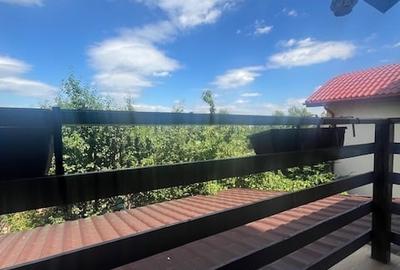 Duplex de vanzare,Domnesti - 13