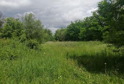 Teren de 1850 mp, în Calvini - 2