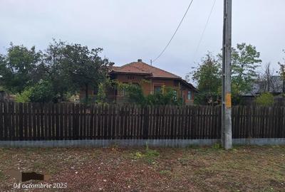 Casă cu 6 camere cu Teren 3555 Mp în Ileana - 2