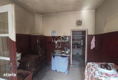 Casă cu 4 camere cu Teren 9563 Mp în Ribița - 15