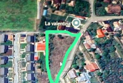 Branesti/Pasarea - Teren Intravilan - 2800mp - 4