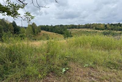 Teren de vanzare Balcesti, ideal pentru investitie si constructie cabane - 1