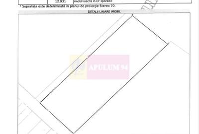 Vanzare teren intravilan agricol in zona Mihailesti, Giurgiu - 10