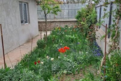 Casă individuală cu 3 camere cu Teren 607 Mp în Limanu - 1