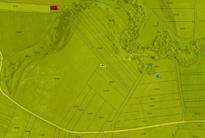 Teren agricol extravilan de 3000 mp, în Borșa - 6