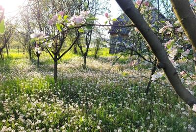 Casă în Lipovei - 7