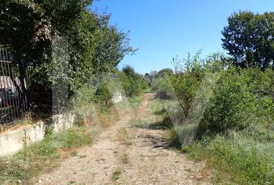 Teren intravilan de 1409 mp cu PUZ - Cisnadioara - 2