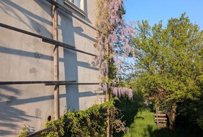 Casă cu 2 camere cu Teren 850 Mp în Daia - 5