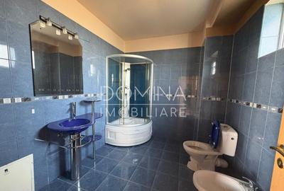 Proprietate industriala - Tg. Jiu - teren + hala + birouri - 7