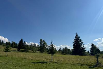 Vanzare 33400 parcelat- 18 loturi - Plaiul Sarului la sosea- microdezvoltare - 14