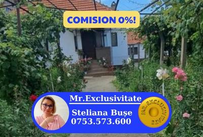 Casa traditionala cu teren generos la tara - Gorj, Șomanesti - 1