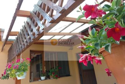 Casă individuală cu 3 camere cu Canalizare în Hănțești - 23