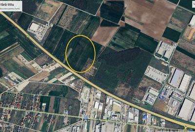 Teren Construcții intravilan de 19680 mp, în Dragomirești-Deal - 1