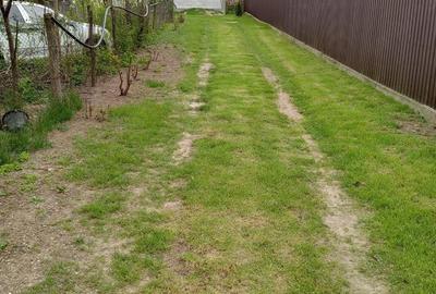 Casă cu 4 camere cu Teren 895 Mp în Vadu Pașii - 4