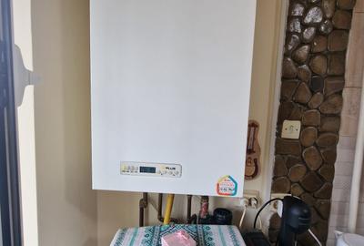 Apartament cu 3 camere decomandat, in zona Podu Ros - 10