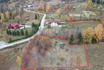 Teren de 2400 mp, în Borșa - 5