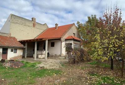 Casă cu 2 camere cu Teren 1007 Mp în Lipovei - 4