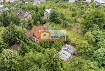 Breaza, Vedere Padure, 5000mp teren, D+P+1E+M, semineu, foisor - 44