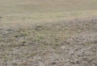 Teren intravilan  pentru constructi - 3