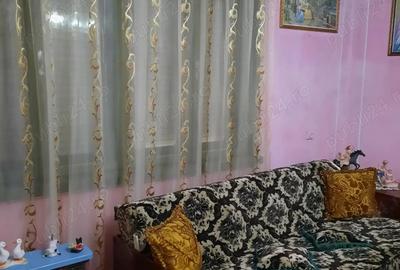 Casa de vanzare in Lapu?nicu Mare - 4