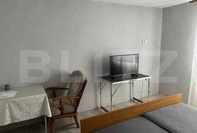 Casa P+1, deschidere bilaterala, 564 mp, Isalnita - 3