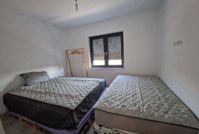 Casă cu 3 camere cu Teren 1100 Mp în Macea - 2