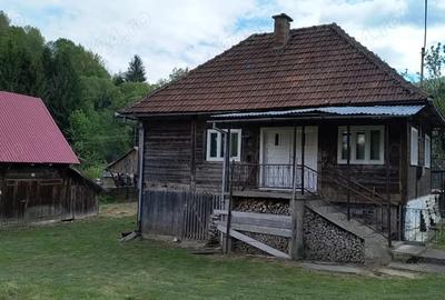 Casa ?araneasca de vanzare, Avram Iancu, Alba - 2