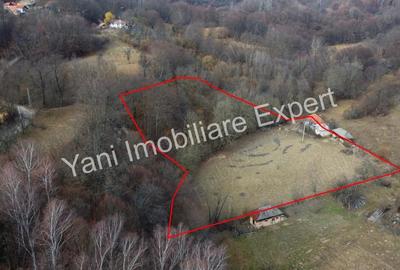 Casă cu 2 camere cu Teren 10076 Mp în Morăști - 11