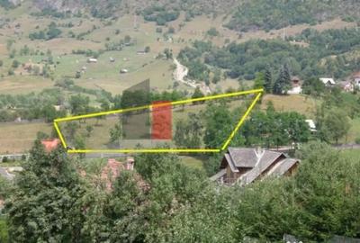 Teren de 3214 mp, în Rucăr - 7