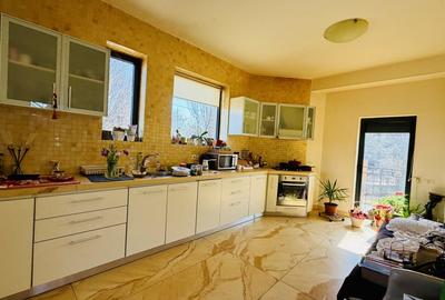 Casă individuală cu 8 camere cu Garaj în Roșu - 6