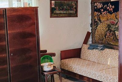 De vinzare casa la tara sat Jichisul de sus - 2