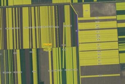 Teren extravilan Putineiu, ID: R2718957 - 2