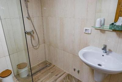 Pensiune Premium – Afacere La Cheie Zona Iulius Town / Calea Lipovei - 4