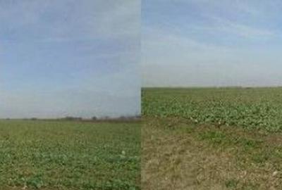 Teren cota parte 3/48 Tudor Vladimirescu R2548611 - 5