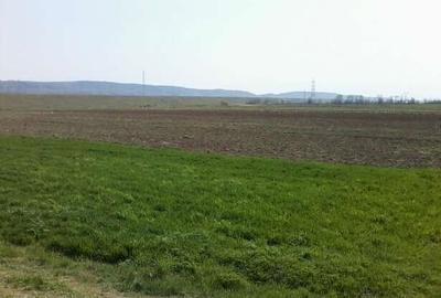 Teren agricol extravilan de 5800 mp, în Creaca - 1