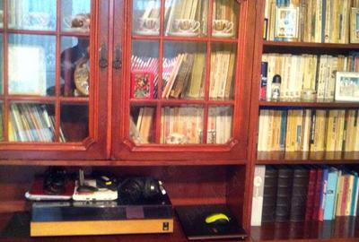 Apartament 3 camere cu cea mai frumoasa vedere din Onesti - 7