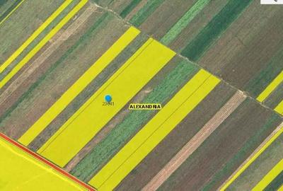 Teren de 43650 mp, în Exterior Vest - 2