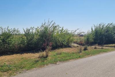 Teren intravilan Balotesti, Complex Good Afternoong - 7