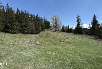 Teren de 22959 mp, în Sadova - 1