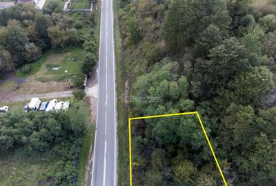 Resita, Teren Intravilan 700 Mp., 25 Euro/Mp., Calea Caranse - 3