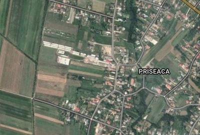 Teren de 4724 mp, în Priseaca - 4