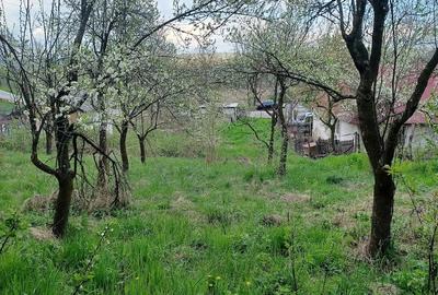 Teren de 2000 mp, în Merișani - 3