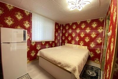 Casa Bontida cu mai multe anexe de inchiriat pe parcursul festivalului Electric - 15